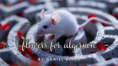  Flowers for Algernon：一場關於智慧與人性深淵的深刻探索