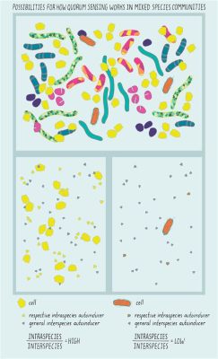   queries on quorum sensing: Exploring the bacterial language